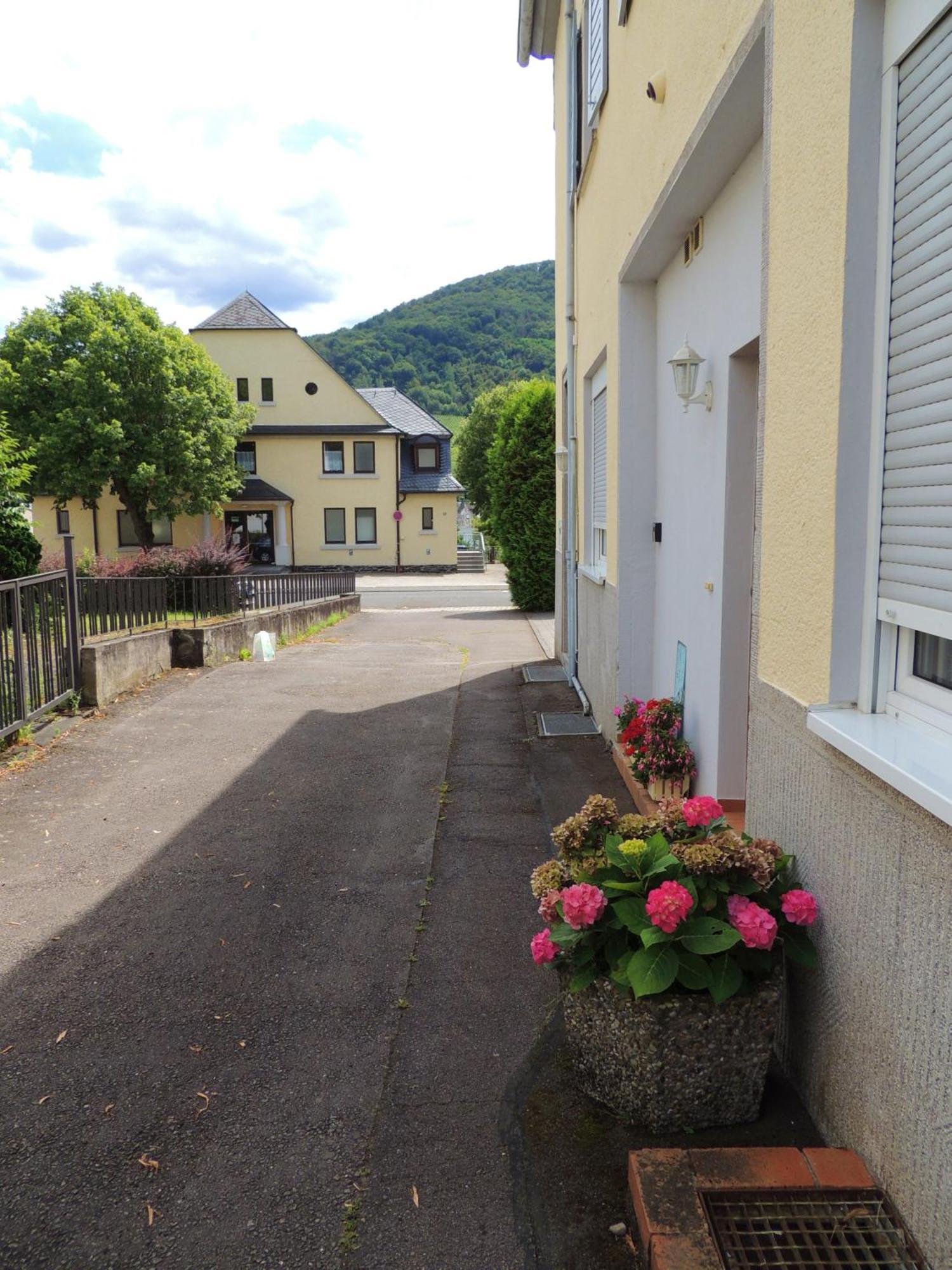 Ferienwohnung Afrika Bernkastel-Kues Exterior photo